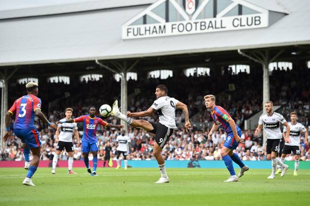 不仅可以观 不仅可以观